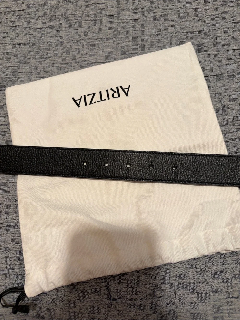 Aritzia Emblem Solid Brass Leather Wide Belt Size Small
